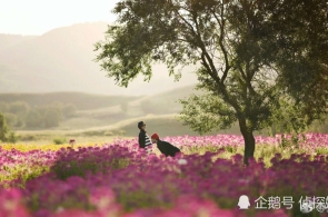李强签订邦务院令 宣告《邦务院合于实行〈中华大众共和邦公公法〉注册资金挂号打点轨制的方正》